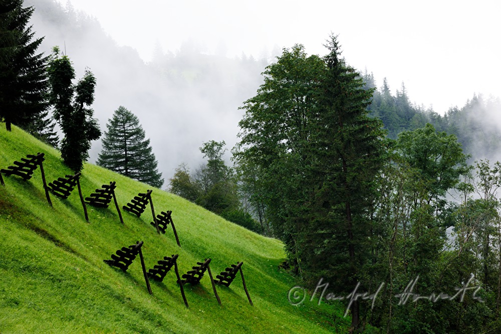 avalanche barrier on a steep meadow