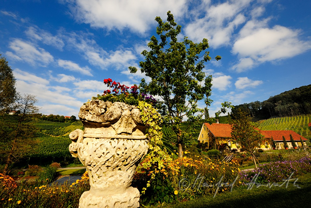 gardens of the wine chateau