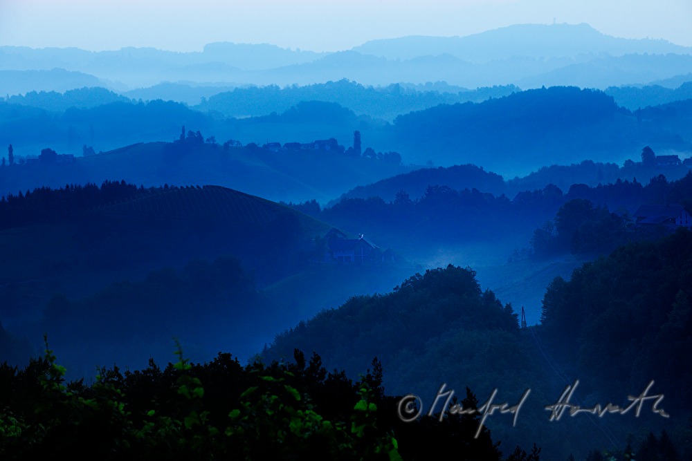 view over the vineyards to the East