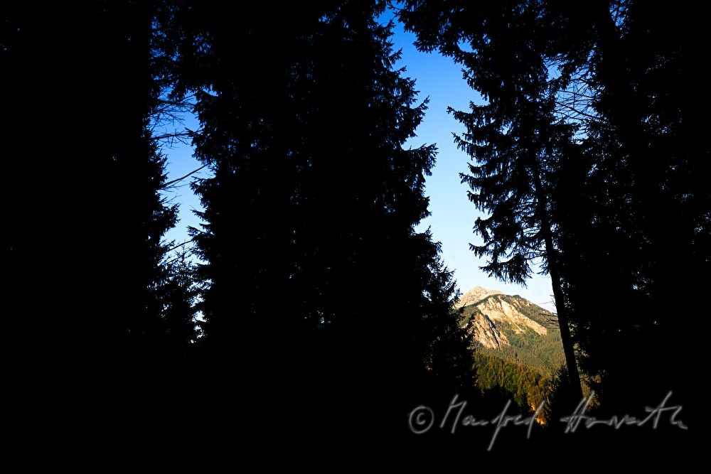 view from the Alpenhotel Gösing to the west