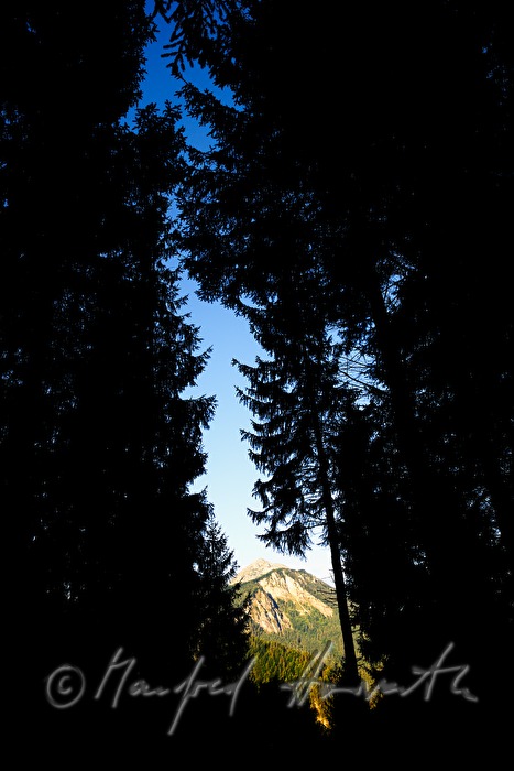 view from the Alpenhotel Gösing to the west