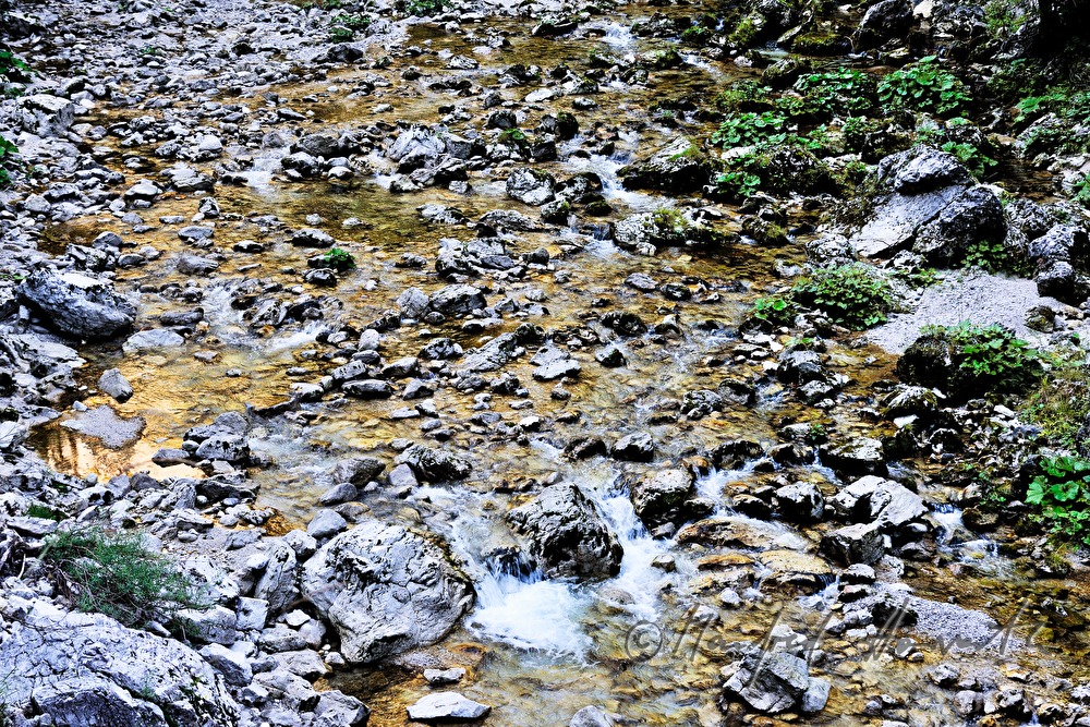 riverbed of the Erlauf in the Hinteren Tormäuer