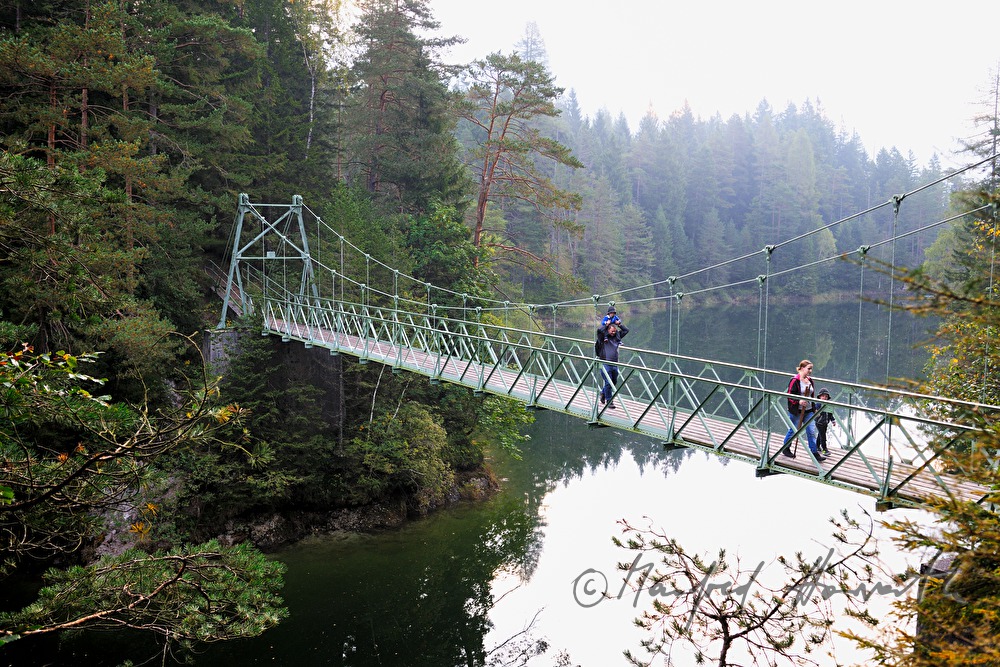 hikers on a swing bridge cross the lake Erlaufstausee