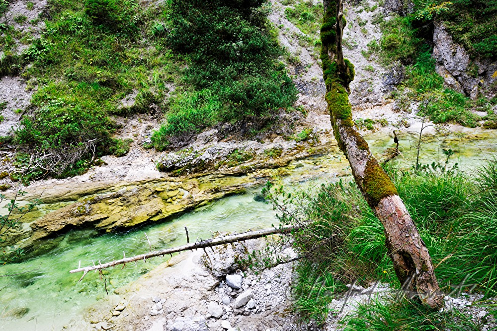 riverbed of the Erlauf in the Hinteren Tormäuer
