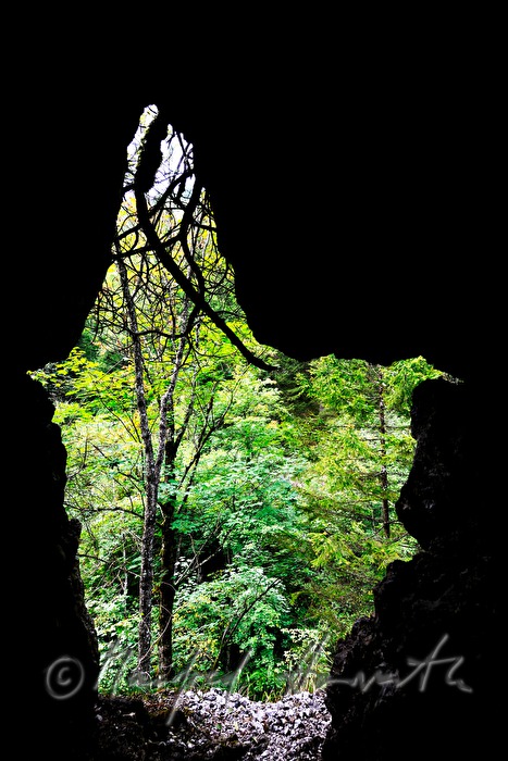 rock arch on the walking track