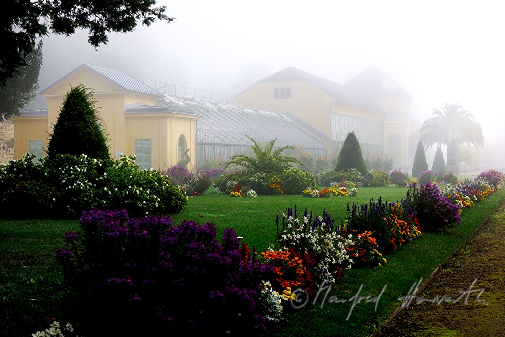 summer party of the friends of the chateau park
