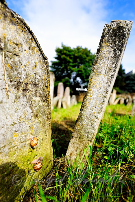 toppled gravestones at the jewish cemetery