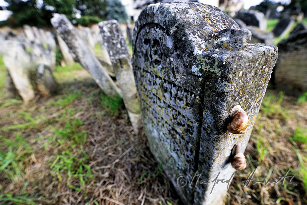 toppled gravestones at the jewish cemetery