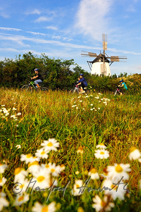 bicyclist nar the windmill