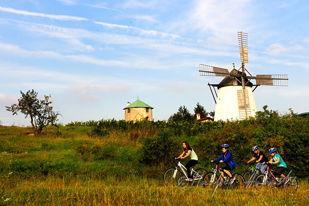 bicyclist nar the windmill