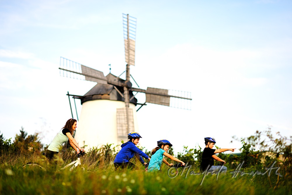 bicyclist nar the windmill