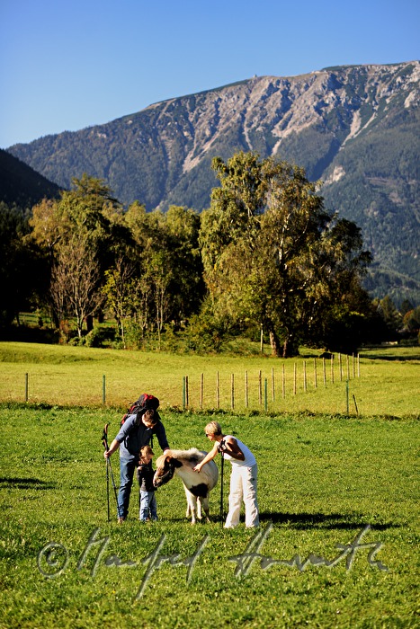 during a hiking trip a family meets a pony