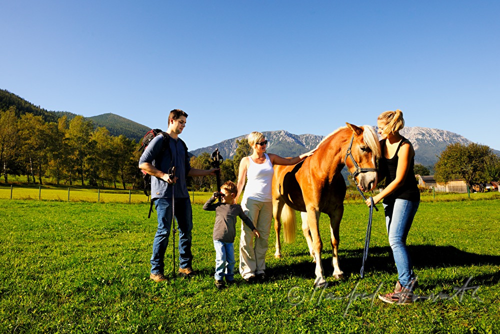during a hiking trip a family meets a pony