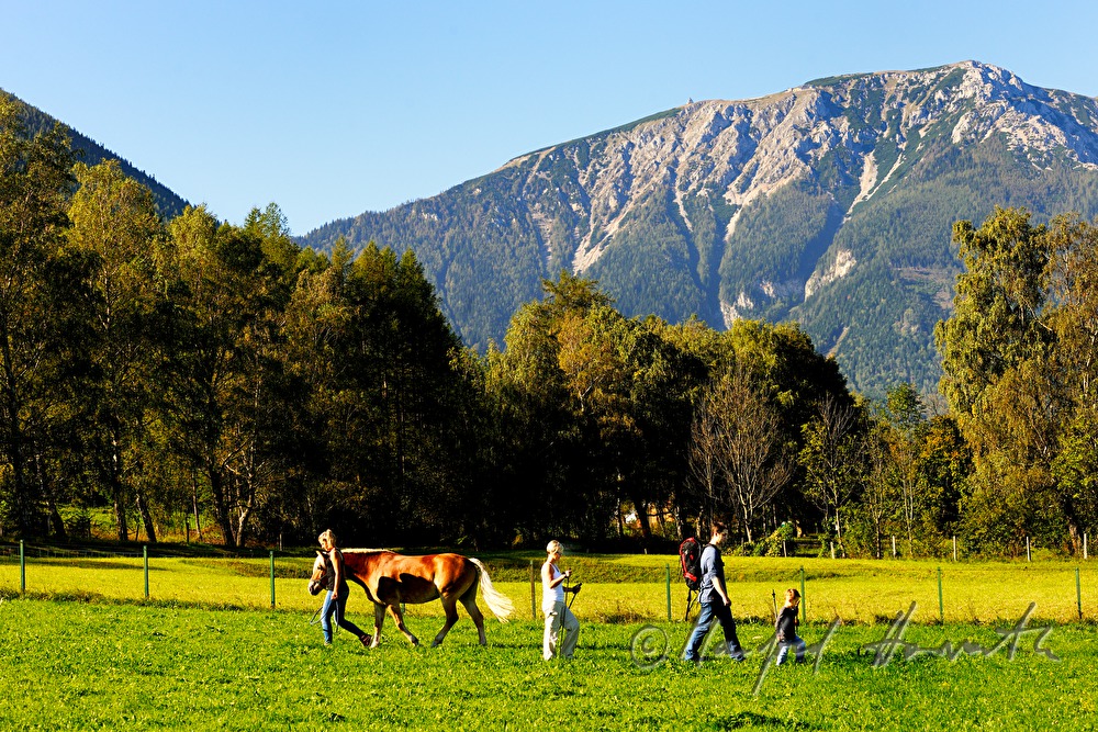 during a hiking trip a family meets a pony