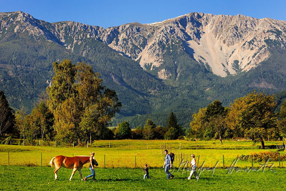during a hiking trip a family meets a pony