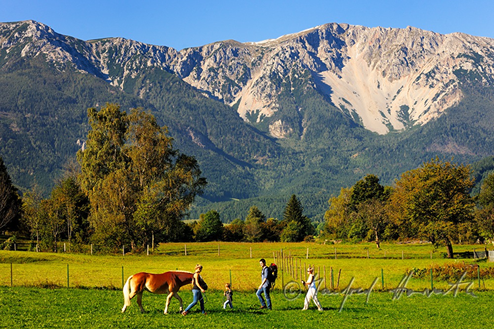 during a hiking trip a family meets a pony