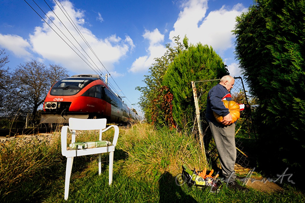 gardener with vegetables at the entrance of his allotment garden