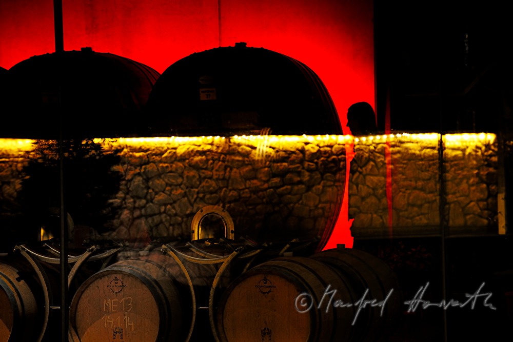 view from outside into the wine cellar with wooden barrels