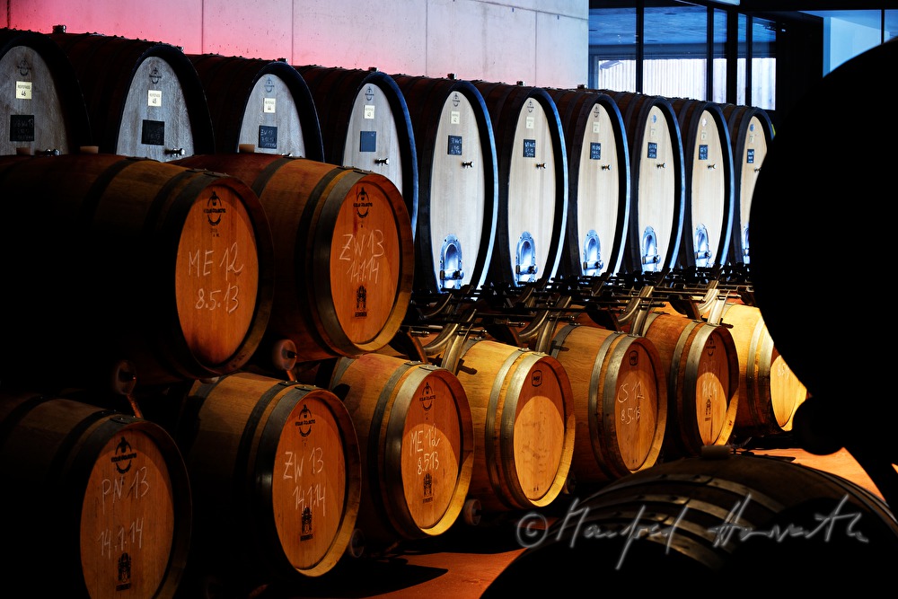 view from outside into the wine cellar with wooden barrels
