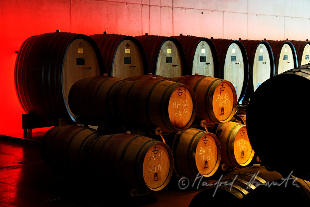 view from outside into the wine cellar with wooden barrels