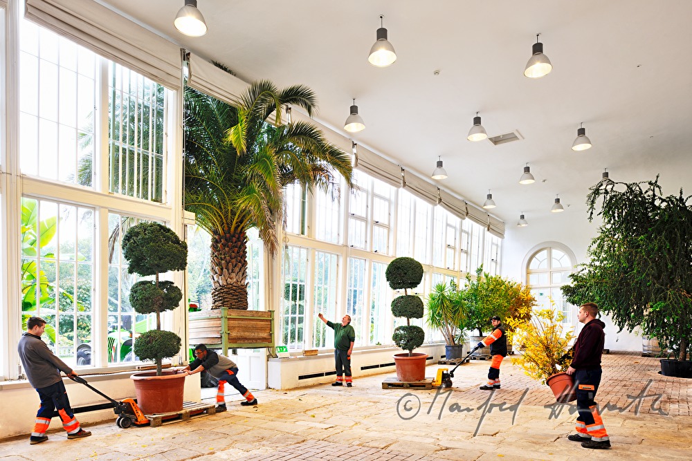 gardeners winterizing the plants