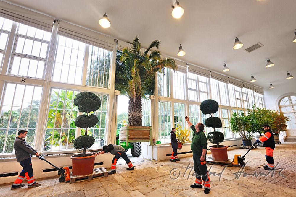 gardeners winterizing the plants