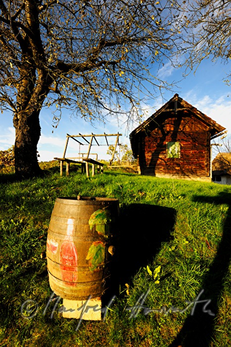 wine barrel with naive painting near a wine cellar