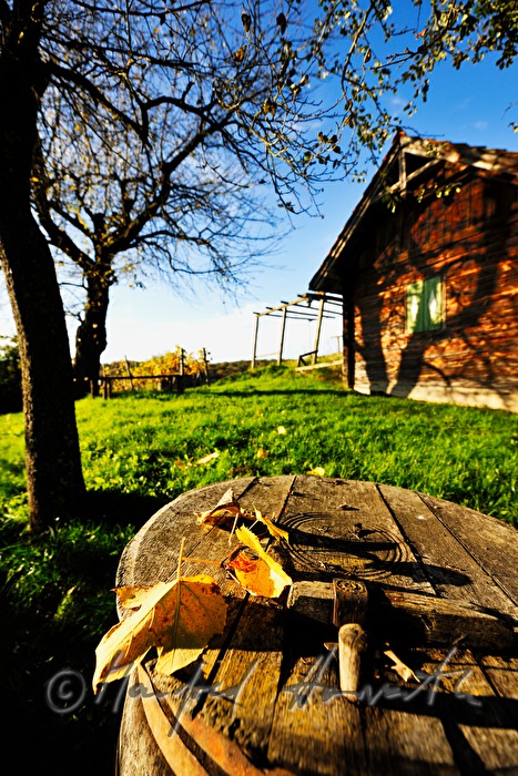 wine barrel with naive painting near a wine cellar
