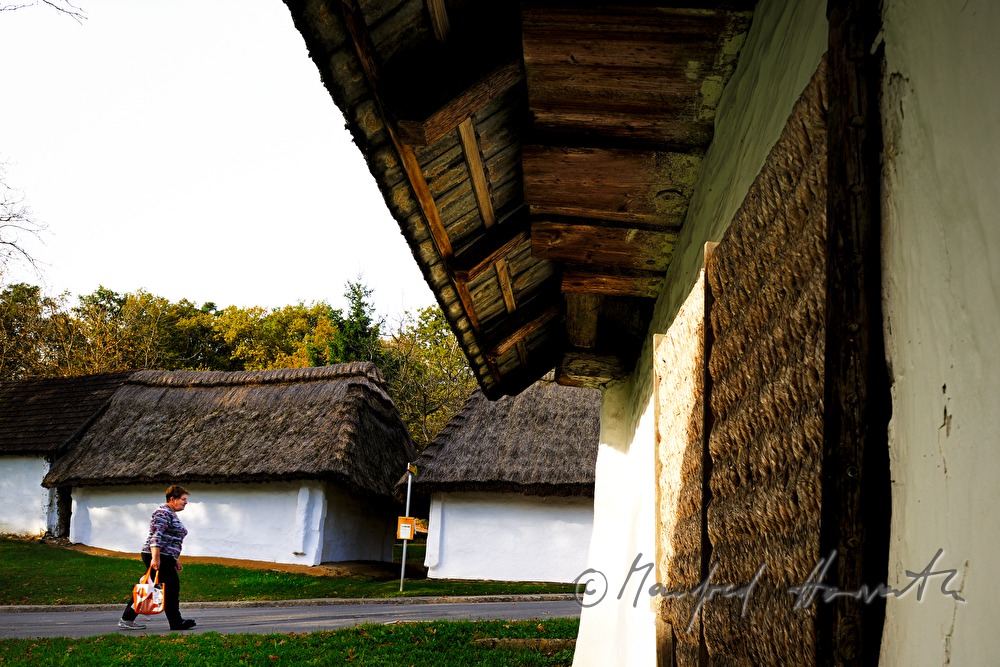 mud-walled wine cellars with tatched roofs
