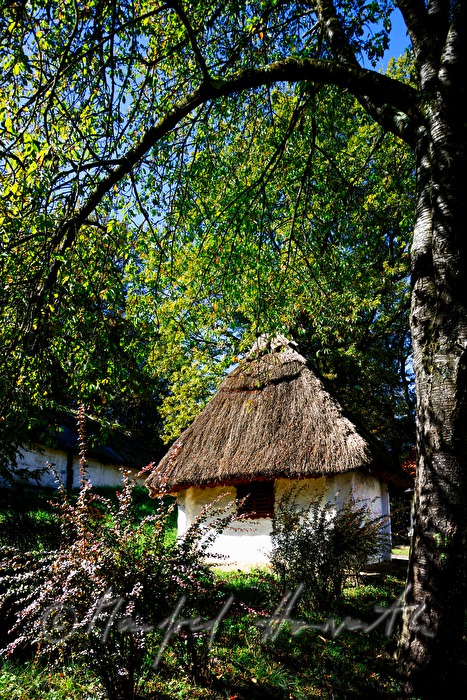 mud-walled wine cellars with tatched roofs
