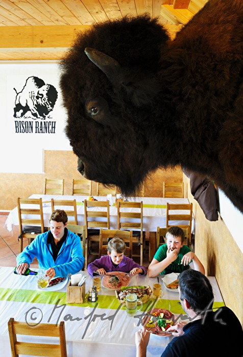 buffalo farmers eating in their pub