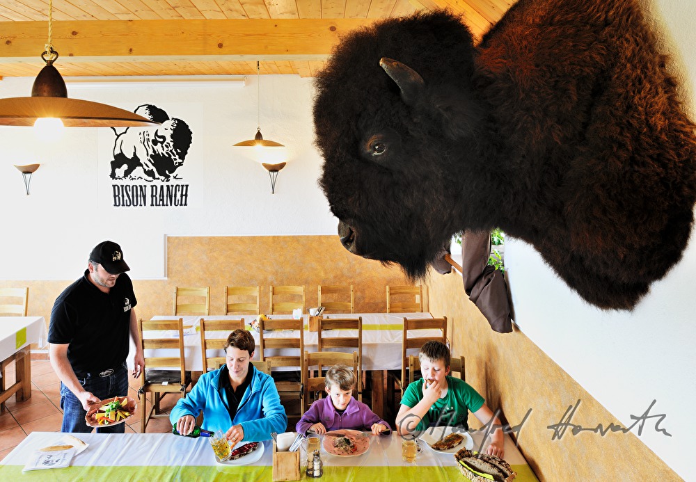 buffalo farmers eating in their pub