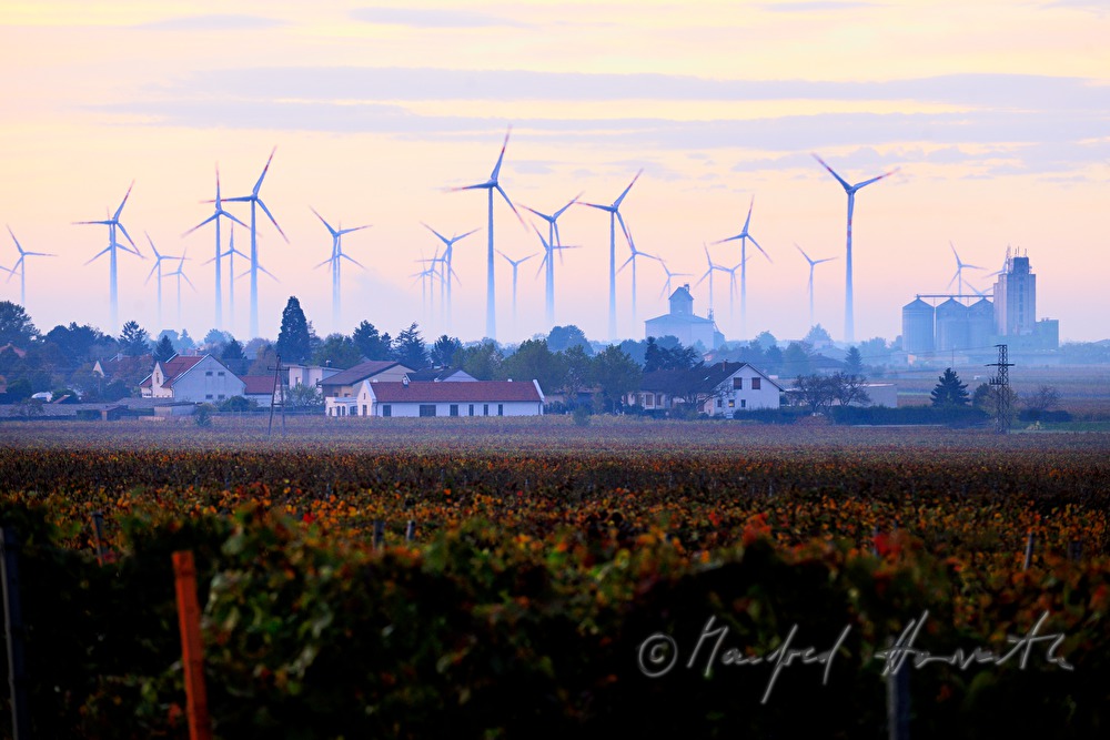 wind park in the morning mist