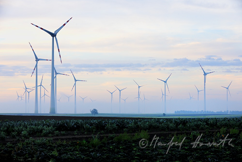 wind park in the morning mist