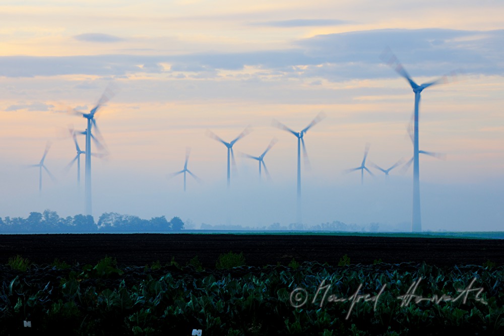 wind park in the morning mist