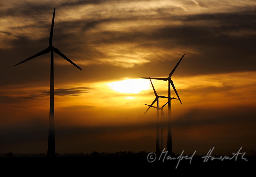 wind park in the morning mist