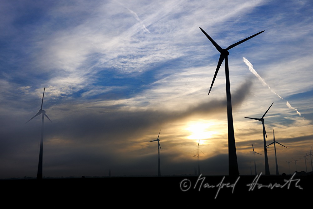 wind park in the morning mist