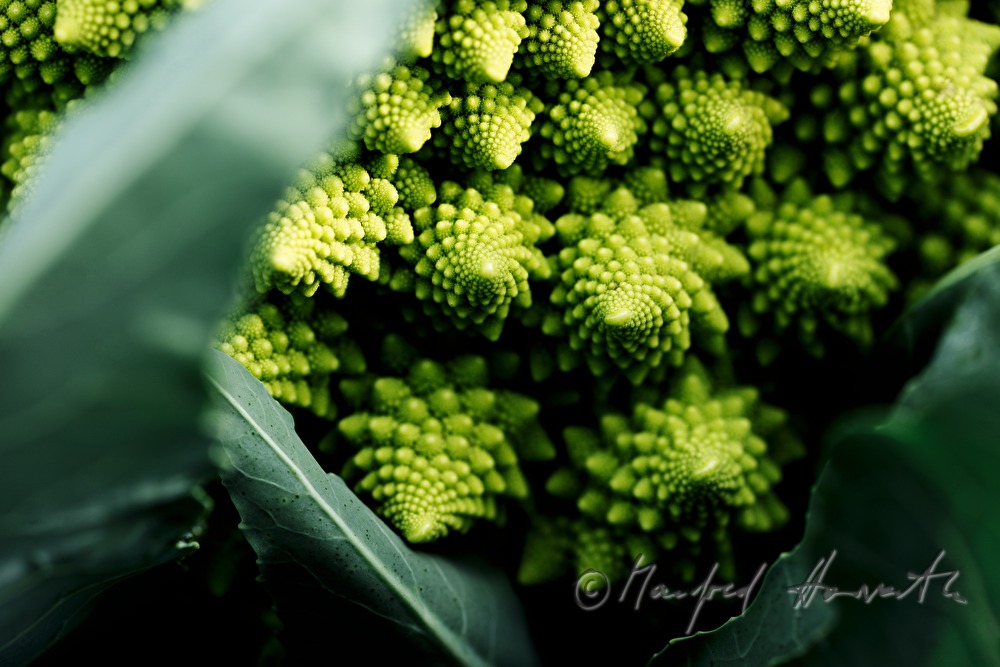 Romanesco  Cauliflower in the field