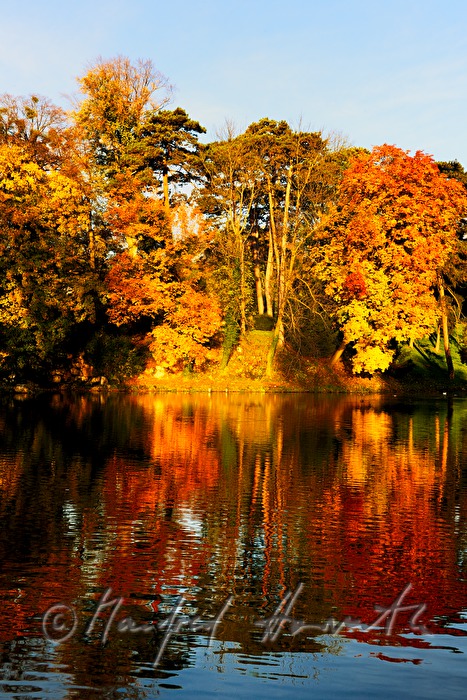 the pond 
