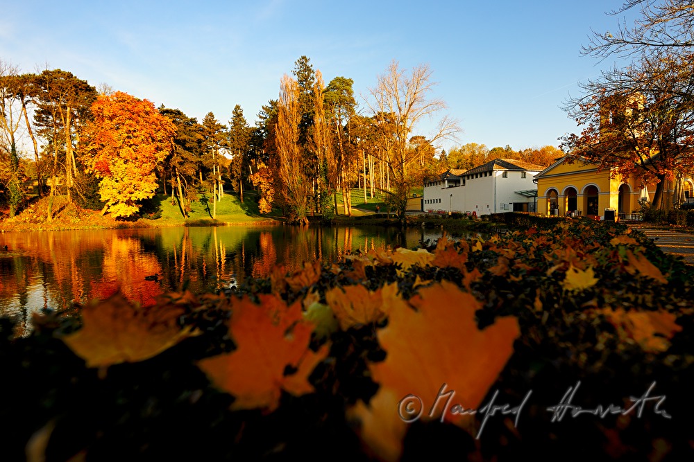 the pond 