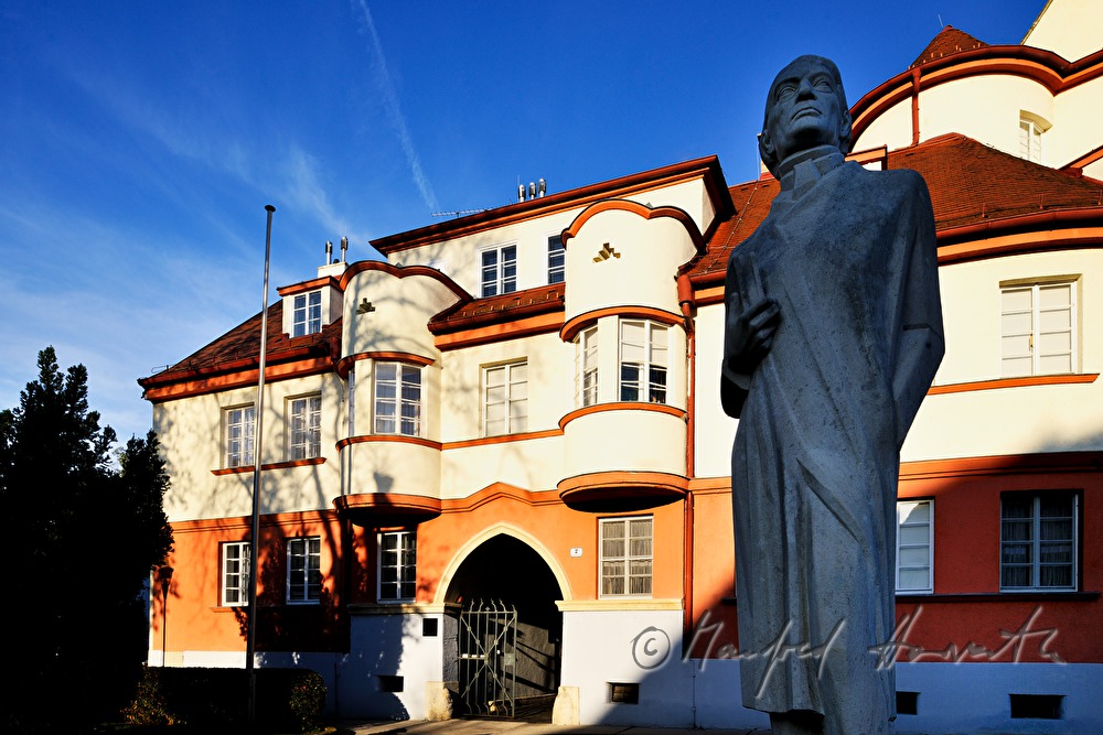 monument of the anatomist Josef Hyrt