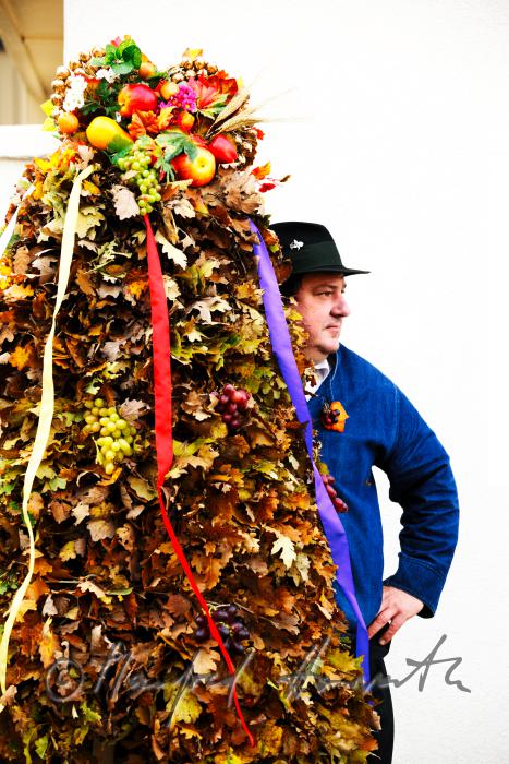 carrier of the leaf-crown at the 