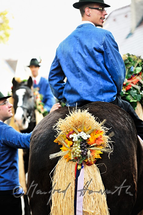 horseman at the harvest festival 