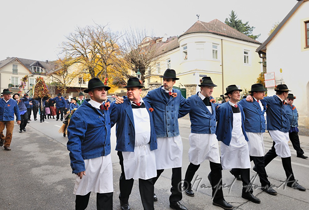 marching in of the vintners at the Hiata parade