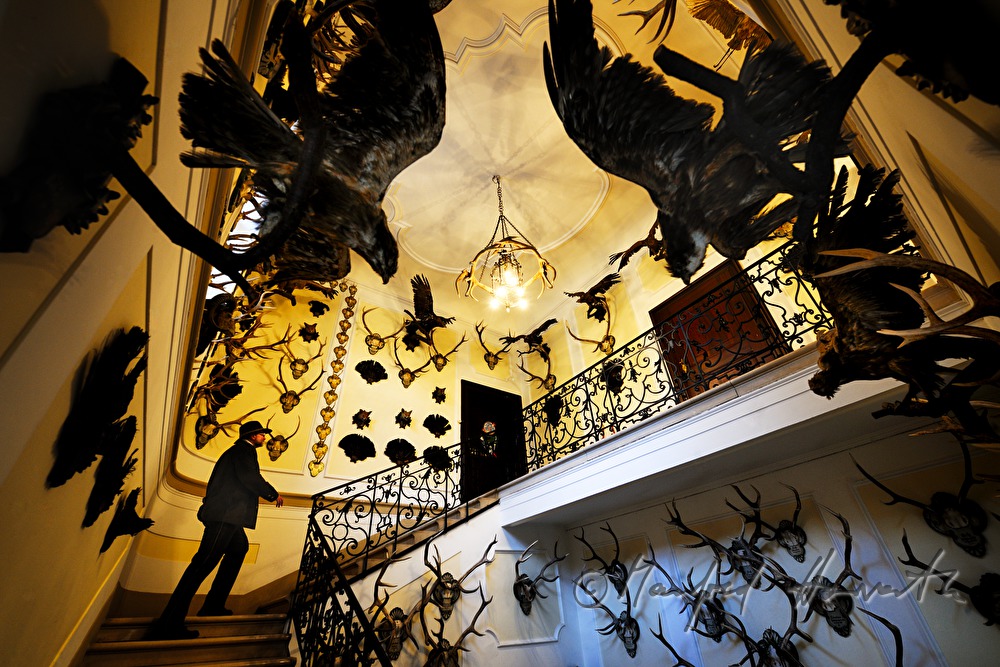 hunter in the staircase of Castle Eckartsau