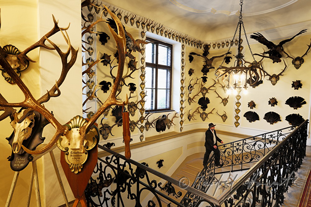 hunter in the staircase of Castle Eckartsau