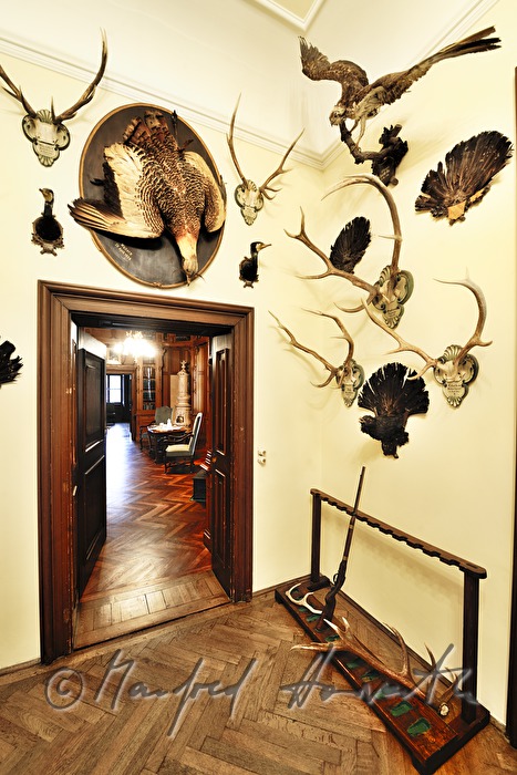 view into the living room of Castle Eckartsau