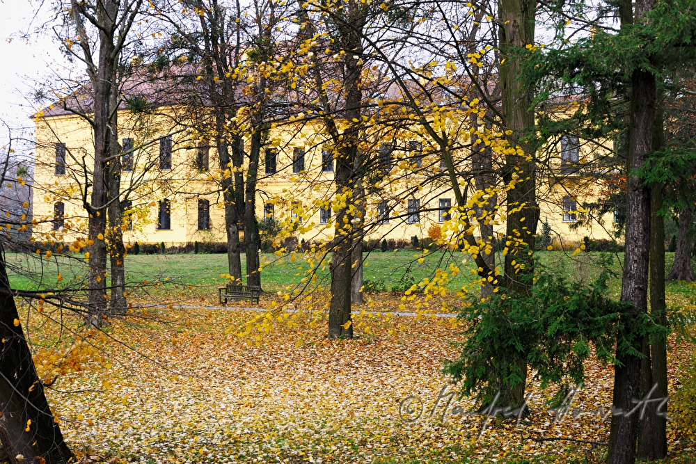 Castle Eckartsau surrounded by an English Garden