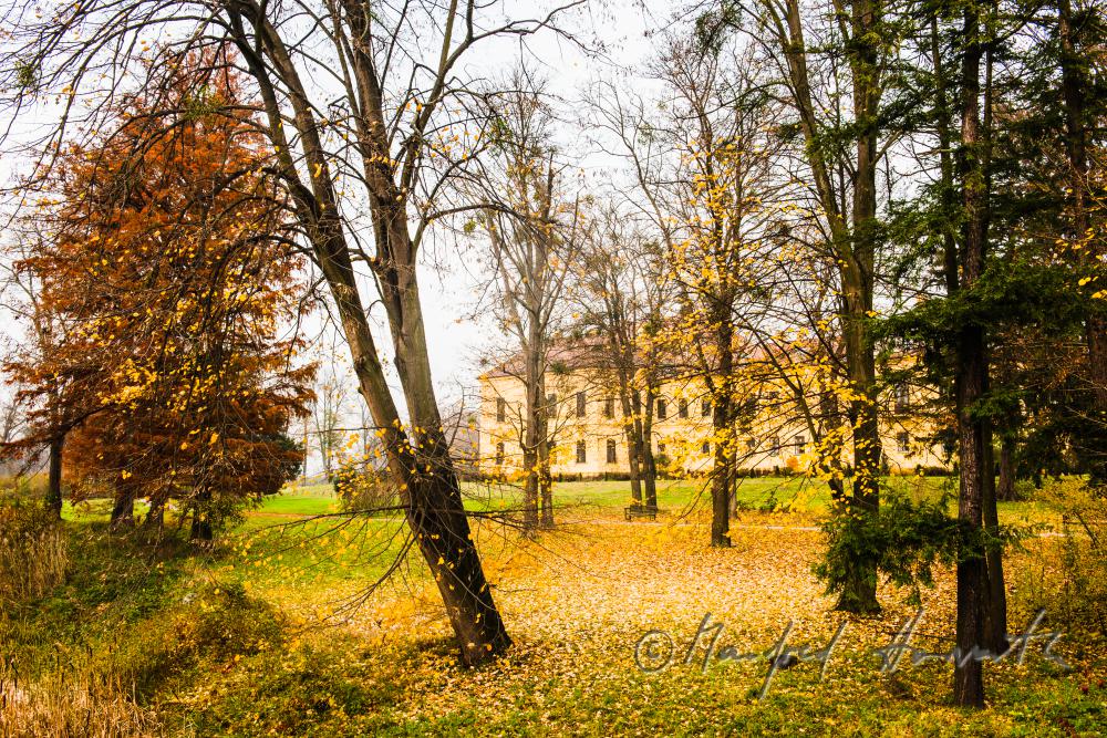 Castle Eckartsau surrounded by an English Garden