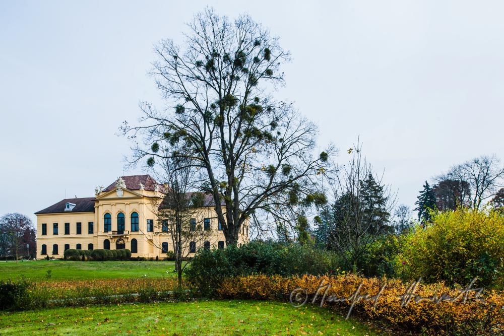 Castle Eckartsau surrounded by an English Garden